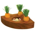 Rosewood 19260 Carrot Toy 'n' Treat Holder Toy for Small Animals, Brown/Orange/Green, One Size