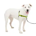 PetSafe Deluxe Easy Walk Dog Harness - Martingale Loop with D-Ring Stops Pulling - Training & Behavior Aid - Reflectivity Enhances Visibility in Low Light - Comfortable Padding - Apple/Black - M/L