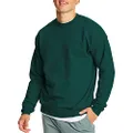 Hanes Men's EcoSmart Fleece Sweatshirt, Deep Forest, Large