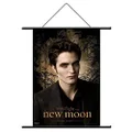 NECA The Twilight Saga: New Moon - Edward Forest Wall Scroll, 22-Inch x 32-Inch Size