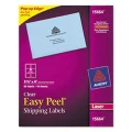 Avery Printable Shipping Labels with Sure Feed, 3-1/3" x 4", Matte Clear, 60 Blank Mailing Labels (15664)
