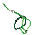 PetSafe Come with Me Kitty Harness and Bungee Leash, Harness for Cats, Medium, Electric Lime/Green
