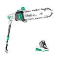 LiTHELi 40V Cordless 10 inch Telescopic Pole Chainsaw Tree Cutter Pruner Kit, Multicolor