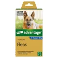 Advantage Fleas for Dogs Over 25kg - 1 Pack