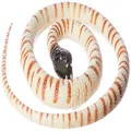 Wild Republic Black Headed Python, Rubber Snake Toy, Gifts for Kids, Educational Toys, 46 Inches