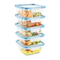 Snapware Total Solution Glass Square Food Storage Container Set with Plastic Lids (10-Piece Set)