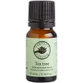 Perfect Potion Tea Tree Oil 10 ml