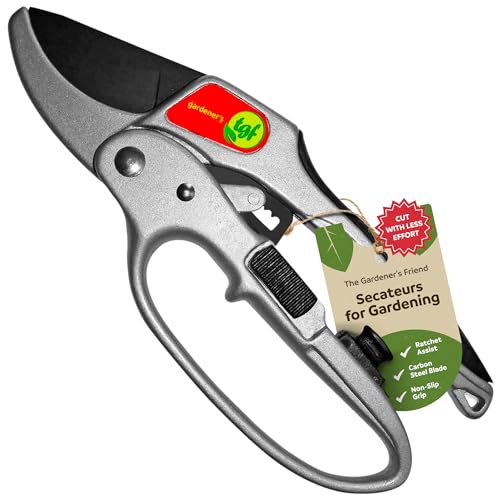 Secateurs, Ratchet Anvil Style Shears, Made For Weak Hands But Strong Enough A