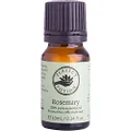 Perfect Potion Rosemary Essential Oil 10 ml