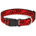 Buckle-Down Plastic Clip Collar - Fresh Cherries Stacked - 1/2" Wide - Fits 9-15" Neck - Large