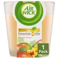Air Wick Essential Oils Candle, Tropical Mango, 105g