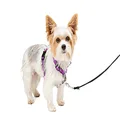 PetSafe 3 in 1 Harness and Car Restraint, Extra Small,Plum, No Pull, Adjustable, Training for Small/Medium/Large Dogs