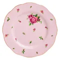 Royal Albert NCRPNK25811 Modern Vintage Side Plate 20cm, Country Roses Pink, Bone China