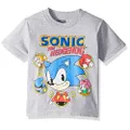 Sega Boys Sonic The Hedgehog Short Sleeve Tshirt, Heather Grey, 5-6 US