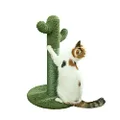 PetnPurr Cat Scratching Post with Teaser Ball Toy, Green Cactus