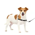 PetSafe Easy Walk Dog Harness, No Pull Dog Harness, Black/Silver, Small