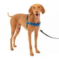 PetSafe Easy Walk No-Pull Dog Harness - The Ultimate Harness to Help Stop Pulling - Take Control & Teach Better Leash Manners - Helps Prevent Pets Pulling on Walks - Medium, Royal Blue/Navy Blue