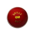 GM 1600941 Leather Tennis Cricket Ball, (Red)
