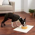 Petio Porta Wood Grain Ceramic Dog Feeding Bowl, Medium