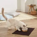 Petio Necoco Wood Grain Ceramic Inclined Cat Feeding Bowl for Wet Food