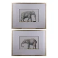 Dasch Design Elephant Framed Prints Set of 2