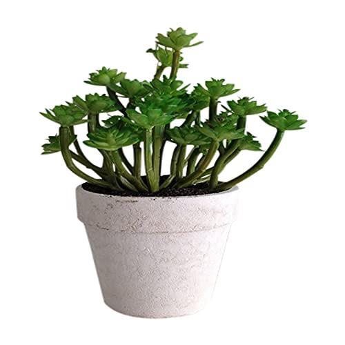 Dasch Design Durie Artificial Succulent Plant in Pot
