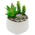 EZY Hedge and Plants 7.5 Inch Faux Succulent with White Ceramic Planter Bowl 3 Assorted Artificial Succulents Potted Fake Succulents Plant for Home Office Shop Cafe Indoor Outdoor Bathroom Decor, 19cm