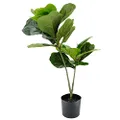 EZY Hedge and Plants 2.3ft Artificial Potted Plant Fake Fiddle Leaf Fig Plant in Black Pot for Home Office Shop Cafe Indoor Patio Decor, 70cm - Green