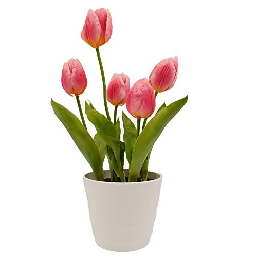 EZY Hedge and Plants 1.5ft Potted Fake Pink Tulip Plastic Tulipa Flowers in White Pot Artificial Plant for Home Office Shop Cafe Indoor Patio Decor, 48cm – Pink/Green