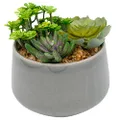 EZY Hedge and Plants 6.69 Inch Faux Succulent with Grey Ceramic Planter Bowl 3 Assorted Artificial Succulents Potted Fake Succulents Plant for Home Office Shop Cafe Indoor Outdoor Bathroom Decor, 17cm