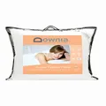 Downia Goose Feather Pillow, White, European