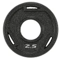 BalanceFrom Cast Iron Plate Weight Plate for Strength Training and Weightlifting, Single AT2IN-2.5