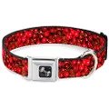 Buckle-Down Seatbelt Buckle Dog Collar - Fresh Cherries Stacked - 1" Wide - Fits 15-26" Neck - Large