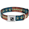 Dog Collar Seatbelt Buckle Americana Vintage Stars Stripes 15 to 26 Inches 1.0 Inch Wide