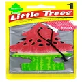 Little Tree Watermelon Air Freshener