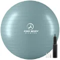 Exercise Ball - Professional Grade Anti-Burst Yoga Fitness, Balance Ball for Pilates, Yoga, Stability Training and Physical Therapy (Silver, 55cm (No Pump))