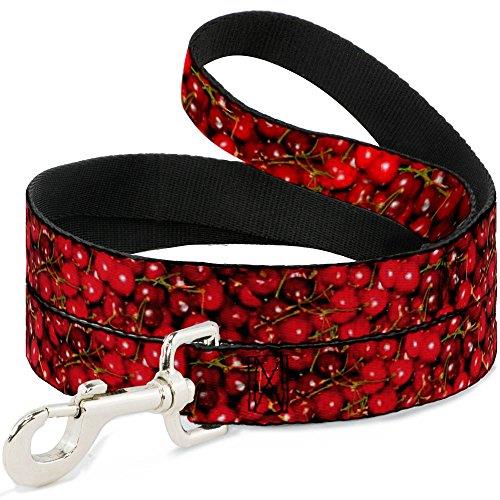 Buckle-Down DL-6FT-W30674 Fresh Cherries Stacked Dog Leash, 6'