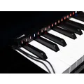 The ONE Music Group Hi-Lite, 88 Keys LED Light Bar, Smart Device for Piano Learning Beginners (TOH1)