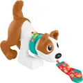 Mattel Fisher-Price 123 Crawl with Me Puppy, Multicolor