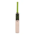 GM Paragon Contender Kashmir Willow Cricket Bat Size 4