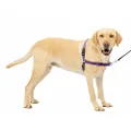 PetSafe Easy Walk Harness, Large, Deep Purple & Black for Dogs