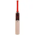 GM Mana Striker Kashmir Willow Cricket Bat Size 2