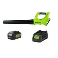 Greenworks 24 V Blower Kit with 4Ah Battery and Fast Charger