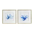 Dasch Design Blue Coral Framed Prints Set of 2
