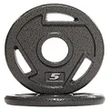 Powergainz Olympic 2-Inch Cast Iron Plate Weight Plate for Strength Training, Weightlifting and Crossfit,Black