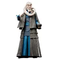 Star Wars The Black Series Bib Fortuna, Star Wars: Return of The Jedi 40th Anniversary 6-Inch Collectible Action Figures, Ages 4 and Up