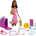Barbie Doll and Accessories Pup Adoption Playset with Brunette Doll in Pink, 2 Puppies, Colour-Change Animal and Pee Pad, Working Carrier and 10 Pieces