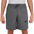 adidas Sportswear Aeroready Essentials Chelsea 3-Stripes Shorts, Grey, 2XL