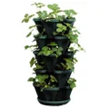 Mr. Stacky 1305-HG 5-Tier Stackable Strawberry, Herb, Flower, & Vegetable Planter- Vertical Gardening Indoor/Outdoor Stacking Garden Pots, Hunter Green, 22.5 Quarts