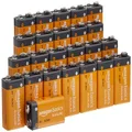Amazon Basics 9 Volt Performance All-Purpose Alkaline Batteries, 5-Year Shelf Life, Easy to Open, Packaging May Vary - 24 Counts